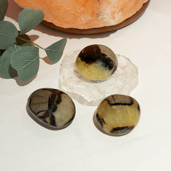 Septarian - draksten